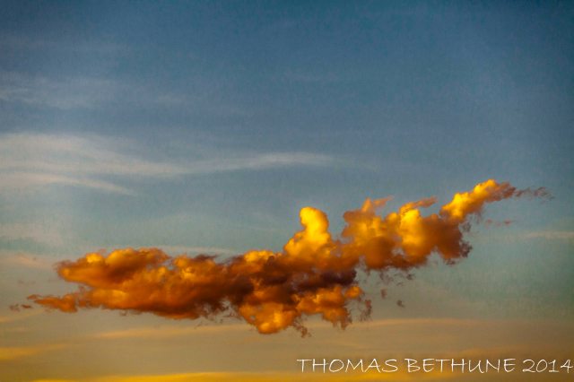 Earth, Wind, Fire, Water, and The Others, Arrive for Their Gathering 