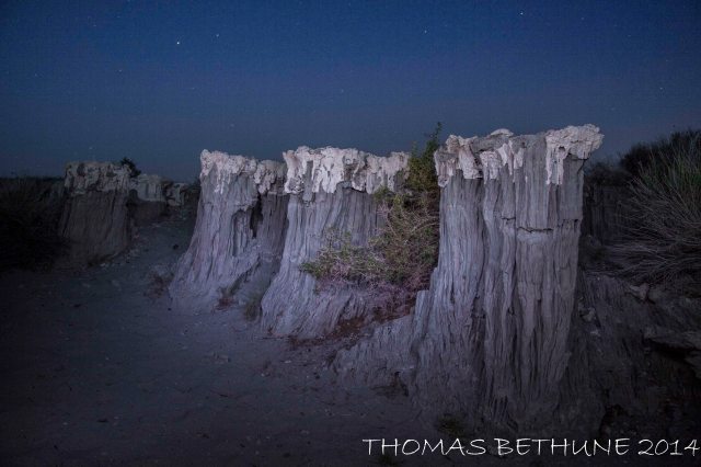 Scerets of the Night