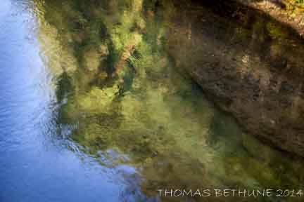 UMPQUA RIVER REFLECTIONS