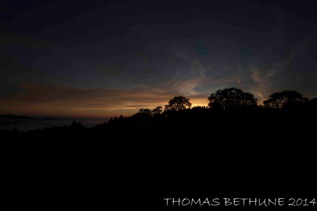 full_moon_in_the_oaks01-1