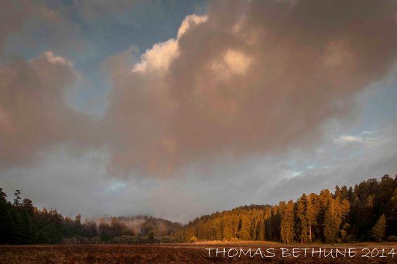 Prairie Creek Sunset-1