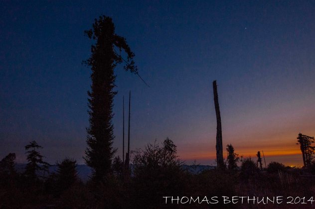 An overall view of the site of the previous entry.