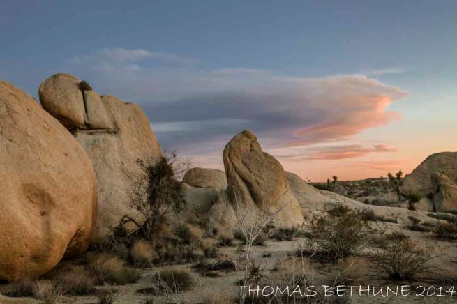 Figures in the Dusk 01