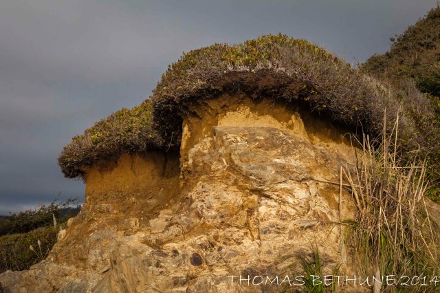 Toadstool Rocks near Dry Lagoon.