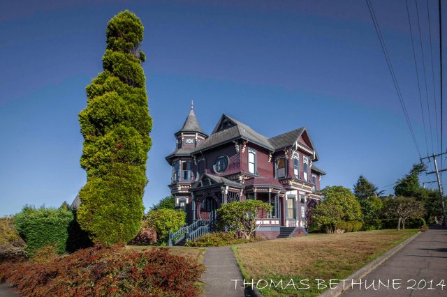 From Wednesday's walkabout Arcata