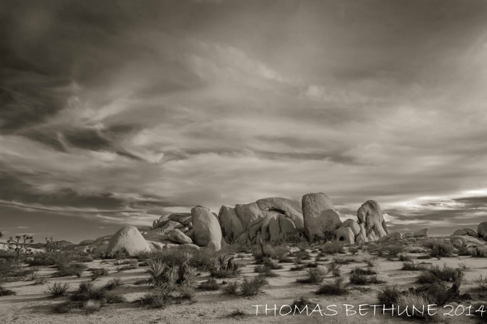 Joshua Tree National Park Rocks