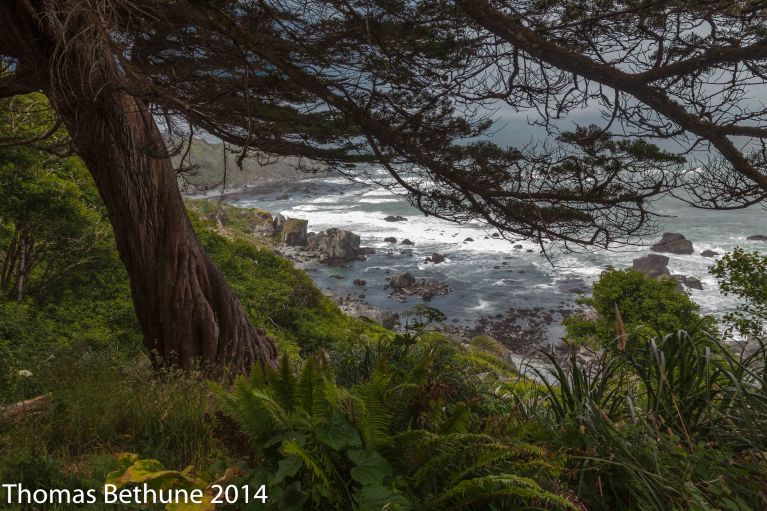 I am on the road, and just   now reworked this image on my laptop.