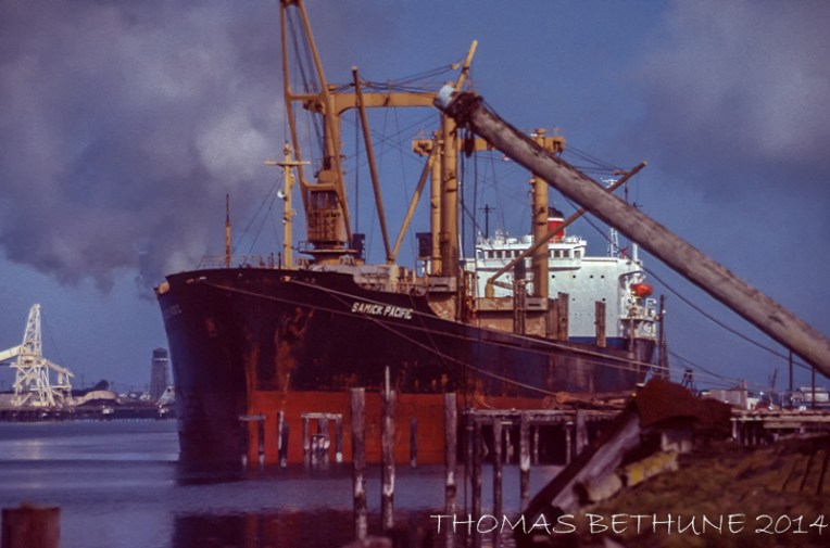 Samick Pacific, 1982