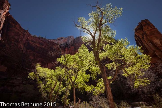 Glow in the Canyon (13 of 1)