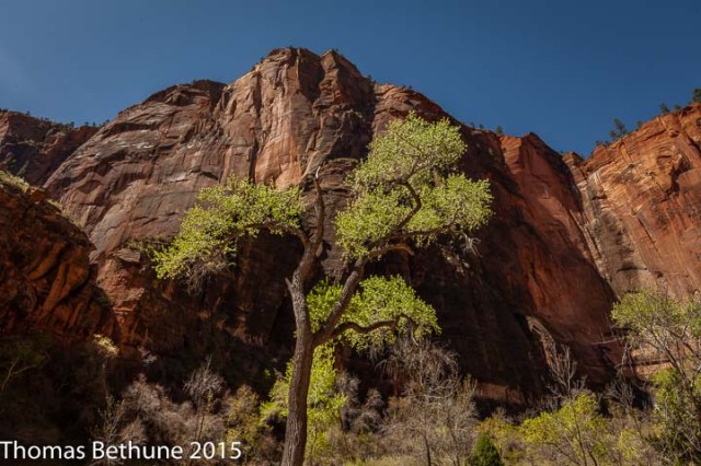 Green on Red (13 of 1)
