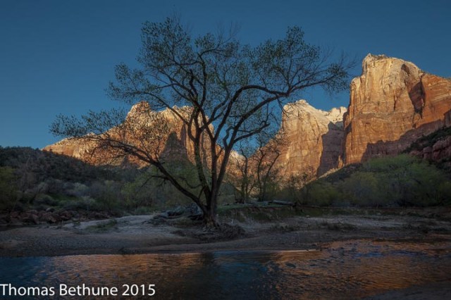 reflections (13 of 1)