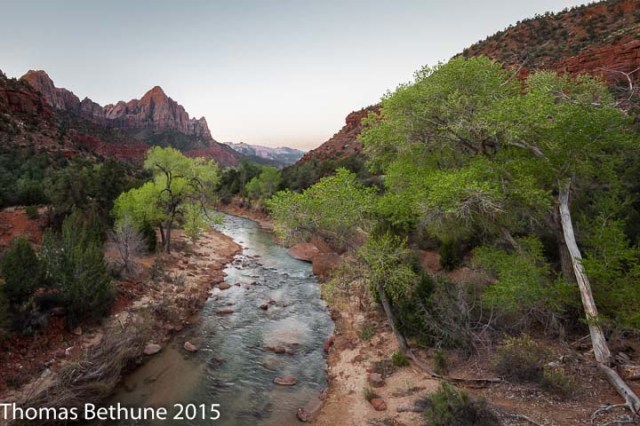 spring foliage (13 of 1)
