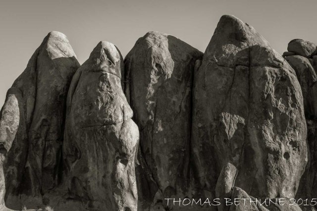 A monument to a long forgotten family (1 of 1)