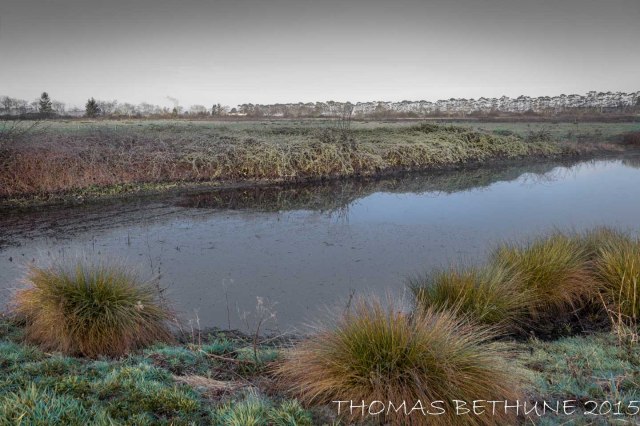 near pam's house (1 of 1)-2