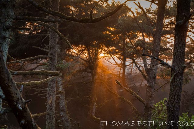 20150917_ma_lel_dunes_0691-425