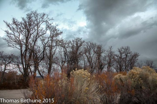 taboose campground (13 of 1)