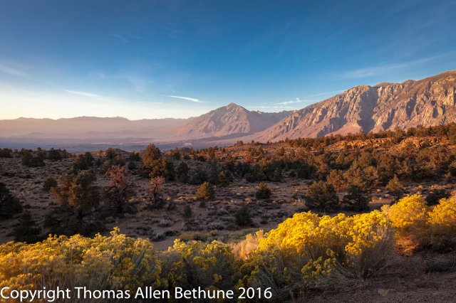 sunrise_on_the_east_face_of_the_sierra_nevada_and_mount_tom-1