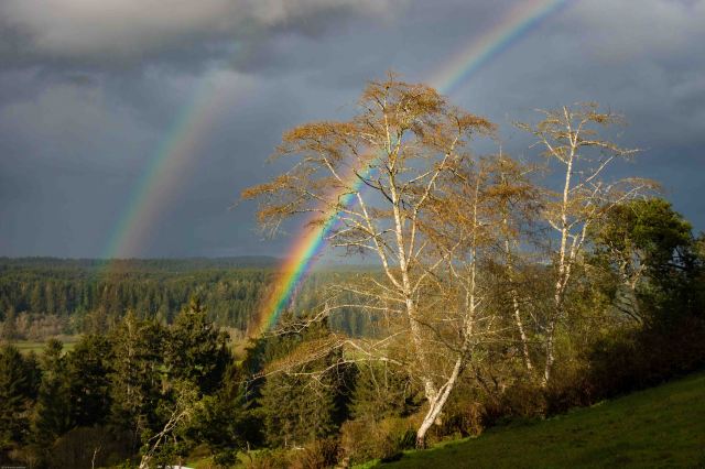 rainbow_near_little_river-1-2