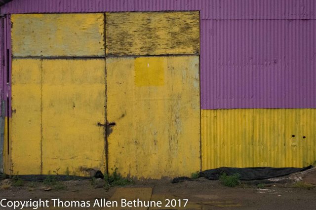 20170417williams0945-7