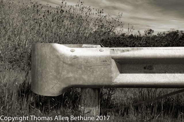 20170415arcata_bottoms0946-13