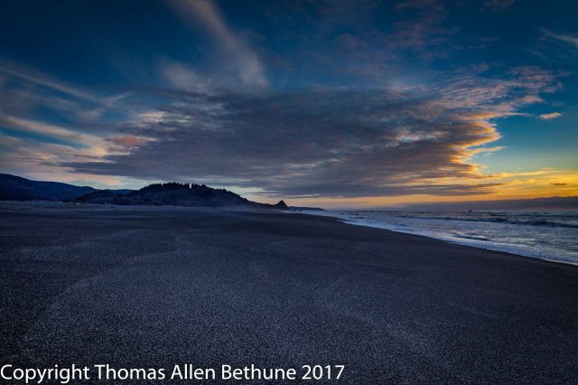 20110221_prairie_creek_spirit_trees_0215-150