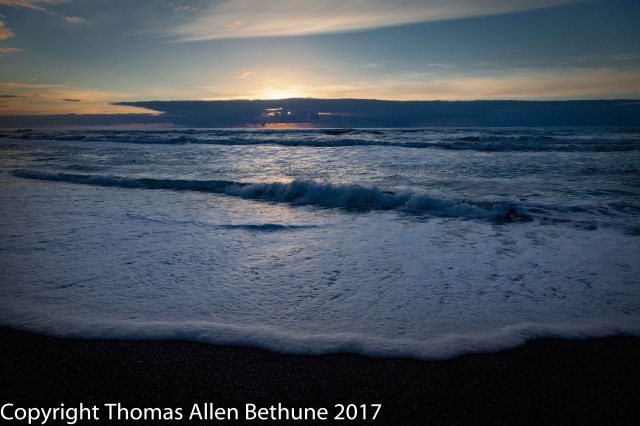 20110221_prairie_creek_spirit_trees_0215-161