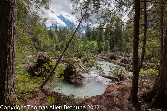 Glacier_National_Park-1