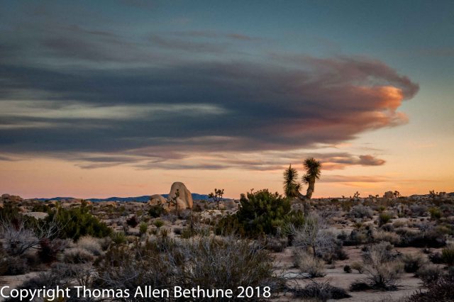 desert_sunset-200