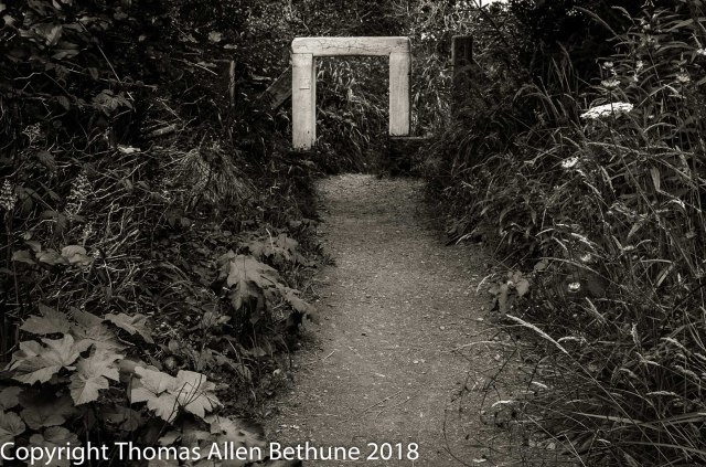 Elk's_Head_Farcaster_(200_of_1)