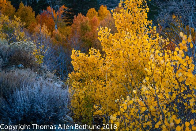 161012_eastside_sierra_0873-195